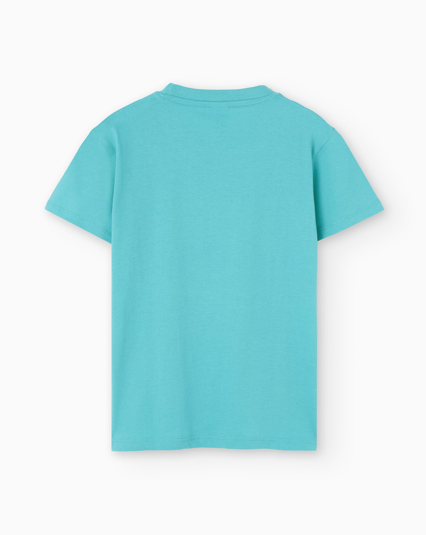 Camiseta manga corta unisex en verde agua y estampado iconos del Delta del Ebro