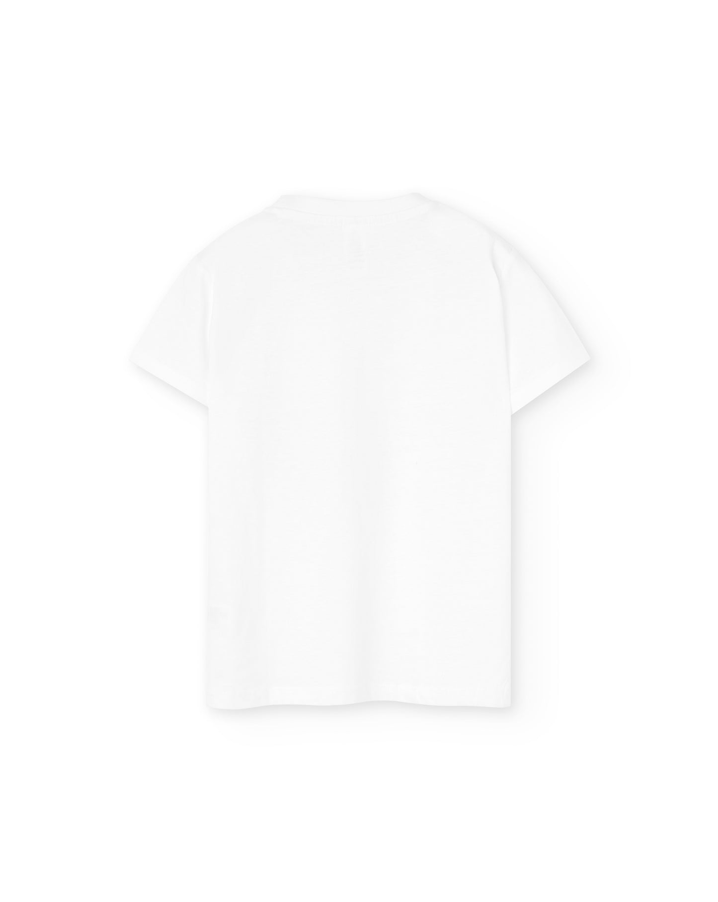 Camiseta manga corta infantil de niño y niña en blanco y estampado flamenco en flotador